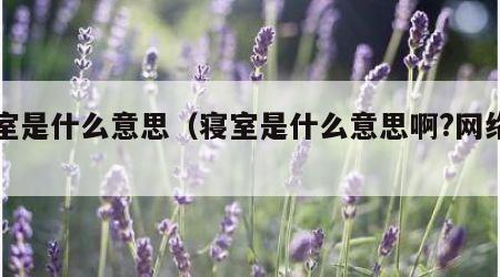 寝室是什么意思（寝室是什么意思啊?网络用语）