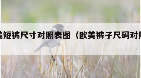 欧美短裤尺寸对照表图（欧美裤子尺码对照表女）