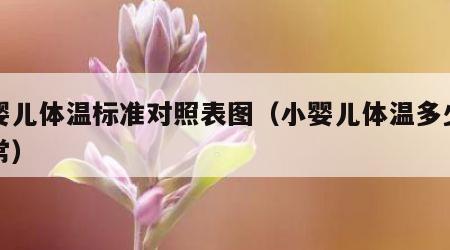 小婴儿体温标准对照表图（小婴儿体温多少算正常）