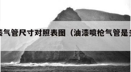 喷漆气管尺寸对照表图（油漆喷枪气管是多大）