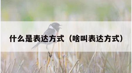 什么是表达方式（啥叫表达方式）