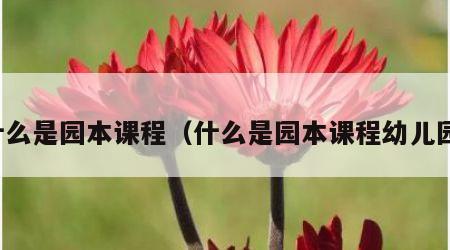 什么是园本课程（什么是园本课程幼儿园）