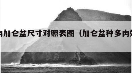 多肉加仑盆尺寸对照表图（加仑盆种多肉好看吗）