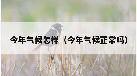 今年气候怎样（今年气候正常吗）