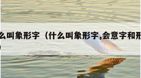 什么叫象形字（什么叫象形字,会意字和形声字）