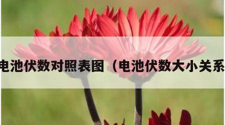 电池伏数对照表图（电池伏数大小关系）