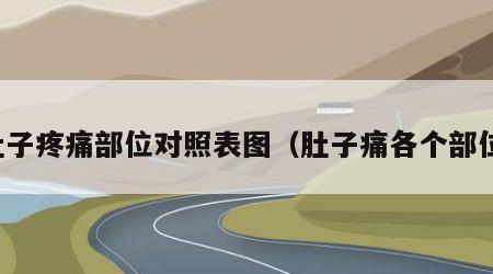 肚子疼痛部位对照表图（肚子痛各个部位）