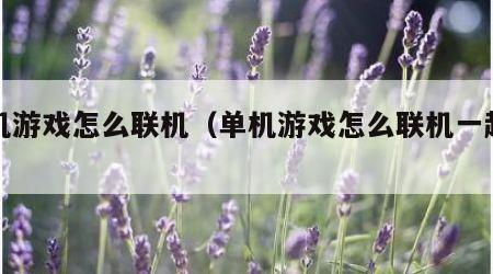 单机游戏怎么联机（单机游戏怎么联机一起玩）