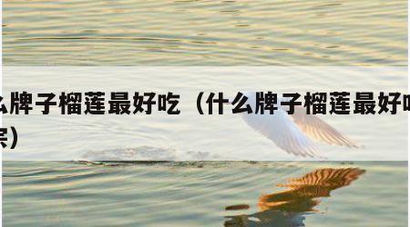 什么牌子榴莲最好吃（什么牌子榴莲最好吃最正宗）
