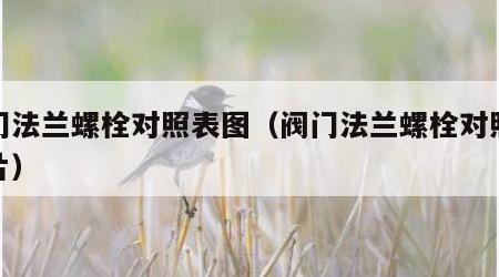 阀门法兰螺栓对照表图（阀门法兰螺栓对照表图片）