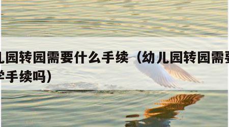 幼儿园转园需要什么手续（幼儿园转园需要办转学手续吗）