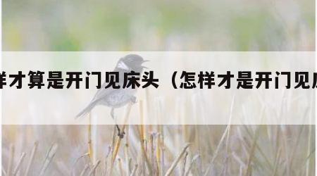 怎样才算是开门见床头（怎样才是开门见床头图）