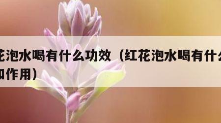 红花泡水喝有什么功效（红花泡水喝有什么功效和作用）