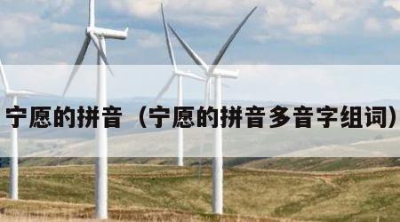 宁愿的拼音（宁愿的拼音多音字组词）