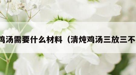 炖鸡汤需要什么材料（清炖鸡汤三放三不放）