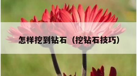 怎样挖到钻石（挖钻石技巧）