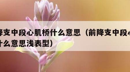 前降支中段心肌桥什么意思（前降支中段心肌桥什么意思浅表型）