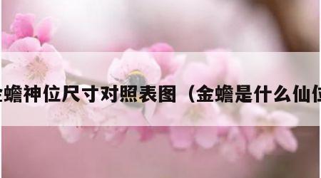 金蟾神位尺寸对照表图（金蟾是什么仙位）