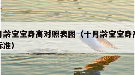 十月龄宝宝身高对照表图（十月龄宝宝身高体重标准）