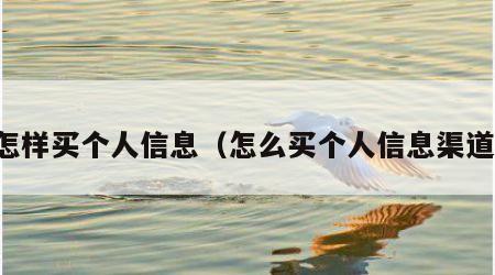 怎样买个人信息（怎么买个人信息渠道）