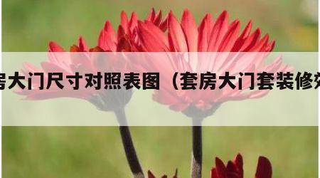 套房大门尺寸对照表图（套房大门套装修效果图）