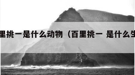 百里挑一是什么动物（百里挑一 是什么生肖）