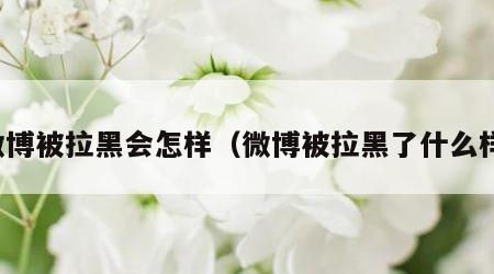 微博被拉黑会怎样（微博被拉黑了什么样）