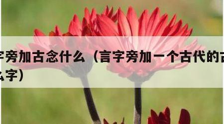 言字旁加古念什么（言字旁加一个古代的古念什么字）