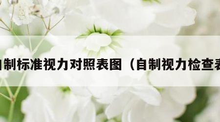 自制标准视力对照表图（自制视力检查表）