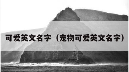 可爱英文名字（宠物可爱英文名字）