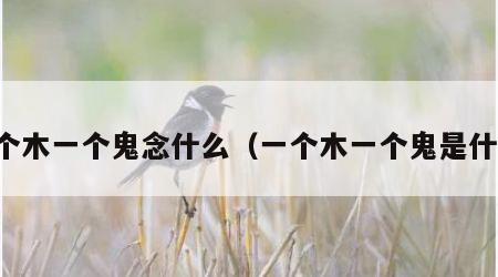 一个木一个鬼念什么（一个木一个鬼是什么）