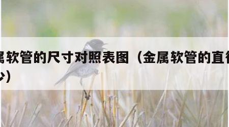 金属软管的尺寸对照表图（金属软管的直径是多少）