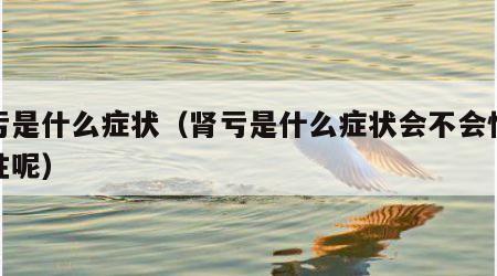 肾亏是什么症状（肾亏是什么症状会不会怕冷男性呢）