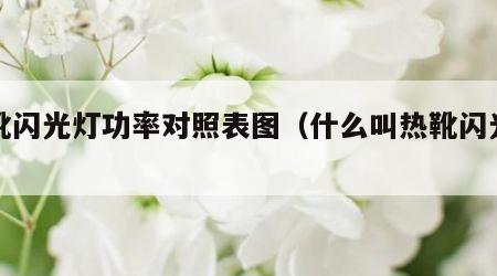 热靴闪光灯功率对照表图（什么叫热靴闪光灯）