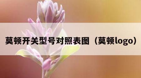 莫顿开关型号对照表图（莫顿logo）