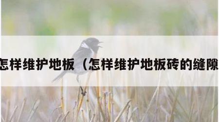 怎样维护地板（怎样维护地板砖的缝隙）