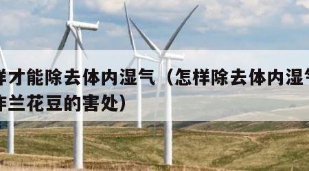 怎样才能除去体内湿气（怎样除去体内湿气吃油炸兰花豆的害处）
