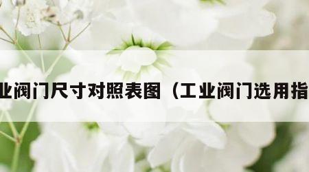 工业阀门尺寸对照表图（工业阀门选用指南）