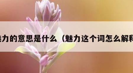 魅力的意思是什么（魅力这个词怎么解释）