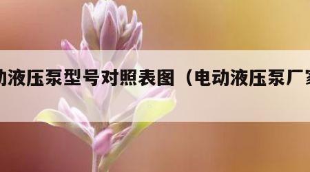 电动液压泵型号对照表图（电动液压泵厂家直销）
