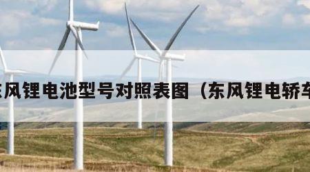东风锂电池型号对照表图（东风锂电轿车）