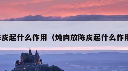 陈皮起什么作用（炖肉放陈皮起什么作用）