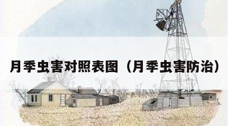 月季虫害对照表图（月季虫害防治）