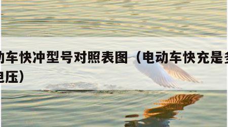 电动车快冲型号对照表图（电动车快充是多少伏电压）