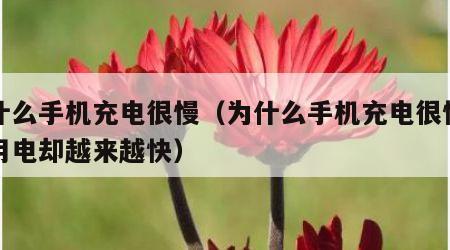 为什么手机充电很慢（为什么手机充电很慢但是用电却越来越快）