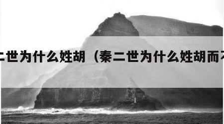 秦二世为什么姓胡（秦二世为什么姓胡而不姓嬴）