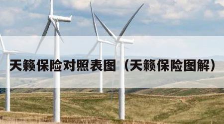 天籁保险对照表图（天籁保险图解）
