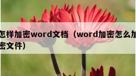 怎样加密word文档（word加密怎么加密文件）