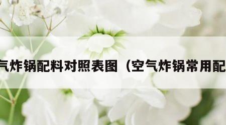 空气炸锅配料对照表图（空气炸锅常用配料）