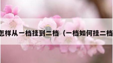 怎样从一档挂到二档（一档如何挂二档）
